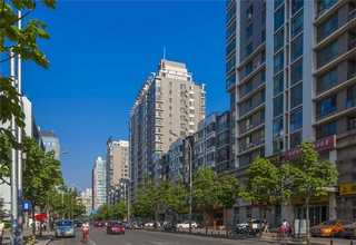 浦东新区一站式绿植租赁园林