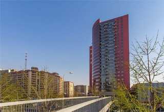 阳江在线审计服务代理