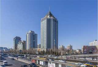 新疆品种手工宠物零食诚信推荐